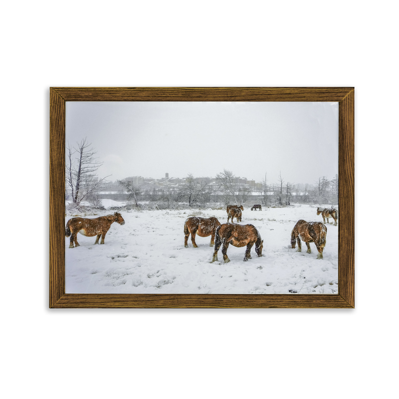 Cuadro caballos Puigcerdà nevado nogal viejo