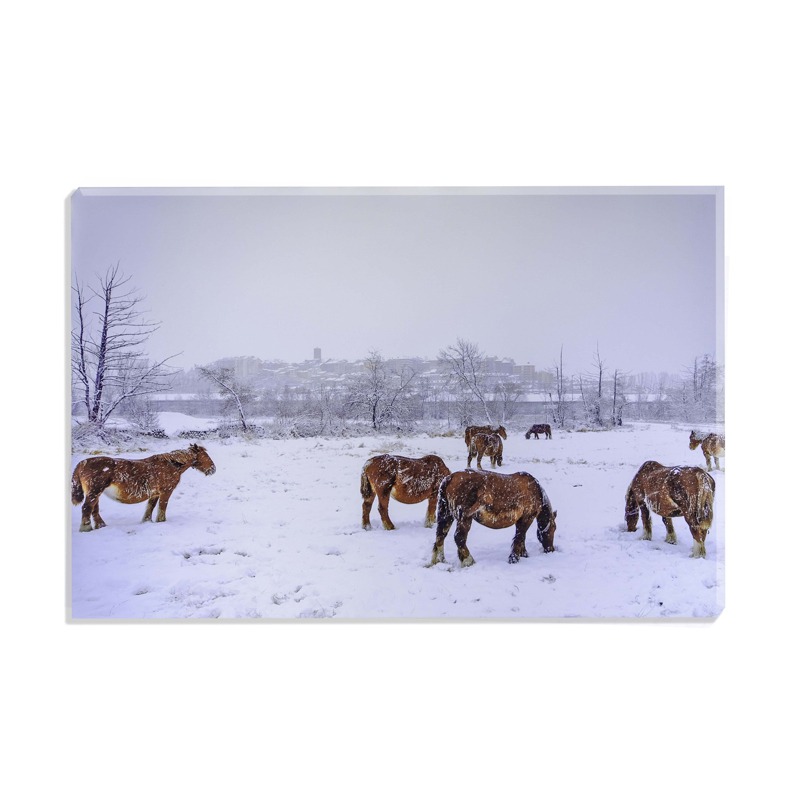 Cuadro caballos Puigcerdà nevado